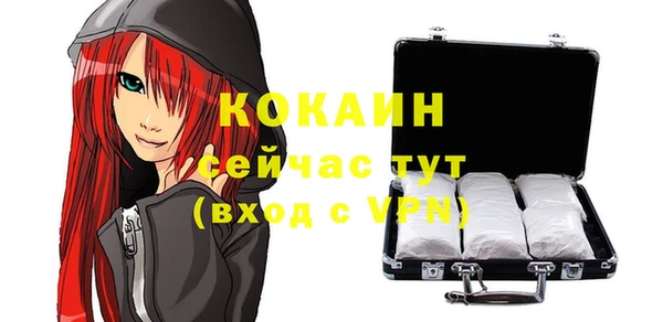 шишки Вязьма