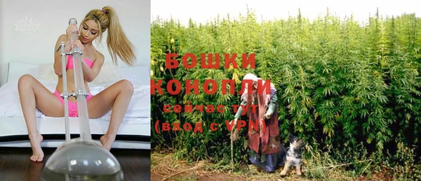 соль ск Вяземский