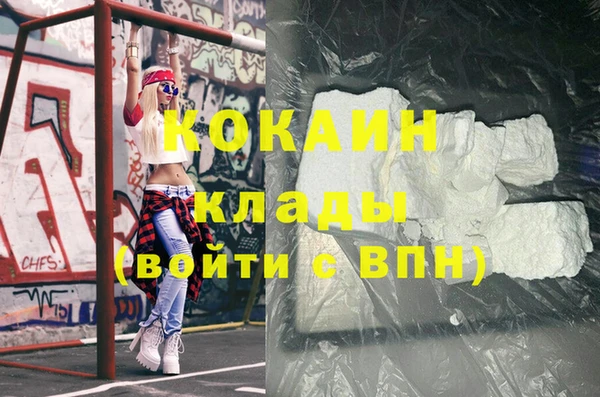 шишки Вязьма
