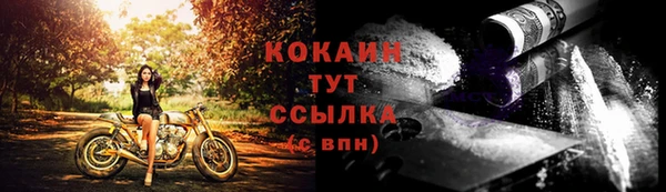 соль ск Вяземский
