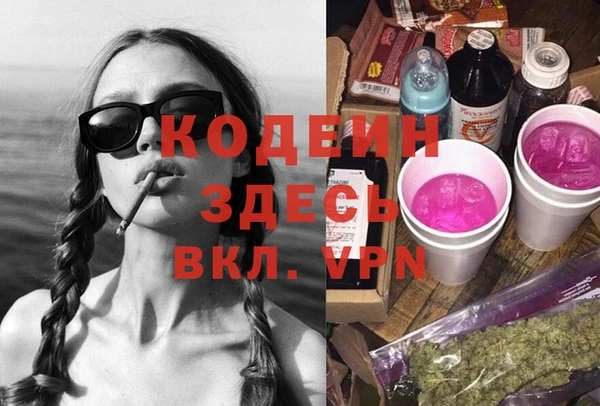 соль ск Вяземский