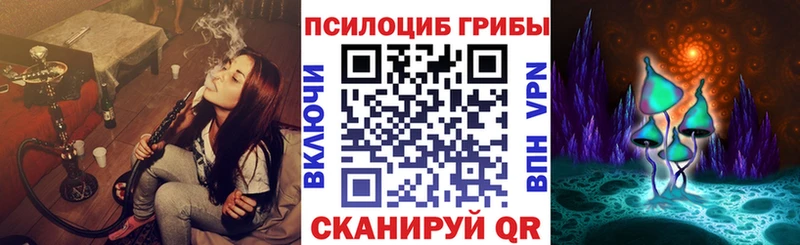 дарнет шоп  Власиха  нарко площадка Telegram  Псилоцибиновые грибы мухоморы 